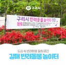 완주군 반려동물 놀이터 | 도심 속 🐕‍🦺반려동물 ✨힐링 공간[갈매 반려동물 놀이터]