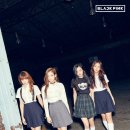 블랙핑크 스포츠조선