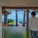 오션팔레드 이미지