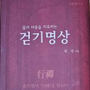 10년간 중고 책으로 10만 원에 거래되던 ＜걷기명상＞ 책 주문받습니다. 이미지