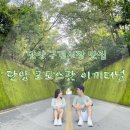 대산닭집 | 단양여행 :: 이끼터널 꿀팁 , 구경시장 (마늘닭강정ㆍ마늘만두ㆍ마늘순대국)