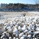 호수공원 입구 이미지
