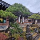 춘삼월목장 이미지