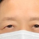 브로우토브
