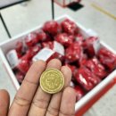 해피비즈 | 제주 공항 근처 실내 놀거리 가득한 곳 하리보해피월드 방문 후기