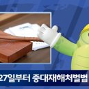 올리브 안전 이미지