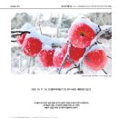 새문안로3길 이미지