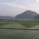 매화초교 Daum카페