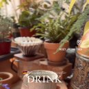 데일리 멍키친 이미지