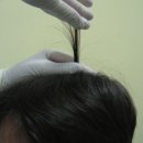 차오르다의원 이미지