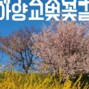 대구선동촌공원 이미지