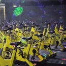 더스피닝 이미지