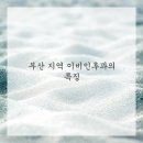 우리이비인후과 네이버블로그