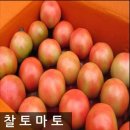 토마토 이미지