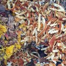 은혜흑염소 이미지