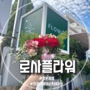 반려식물키우기 | 창원 꽃집 어버이날 스승의날 부부의날 꽃배달 꽃선물 로사플라워