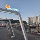 내돈내산 카시아 속초 디럭스킹 후기 | 트립비토즈 공구로 조식 포함