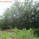 지둔2리 마을회관 이미지