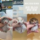 (주)폴리모프 네이버블로그