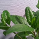 새순2농장 이미지