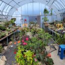 석양의추억펜션 이미지