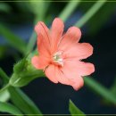 커피상회 - 아산시 탕정로 23 | 커피상회
