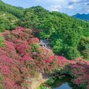 한국의정원 | "숨겨진 한국의 비밀 정원 BEST 5 추천!"