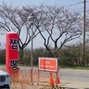 농협 장성군 로컬푸드직매장 | [장성 신상카페 아문당] 벚꽃길 카페드라이브 장성 진원면 광주근교 대형카페 아문당 방문후기 식빵맛집