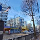 봉선중학교 운동장 이미지