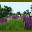 살림선생 이미지