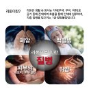 새라돈가스 이미지