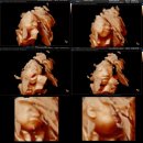 41190-01-07-292 | 임신 말기 주차별 해야 할 일, 검사 항목