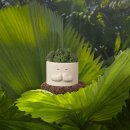 스마트폰 사진 / 동영상 편집 | photoroom 사용 후기/ 스마트폰 ai 사진편집어플/ 간편한 피드제작방법