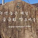 들국화(만수)마을 이미지