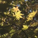 정드림축산 이미지