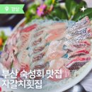 자갈치횟집 | 부산맛집 부산숙성회맛집 자갈치횟집 방문후기