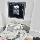 아이편한 동물의료센터 | 대구 24시 동물병원 수성구 강아지 건강검진 슬개골 정밀 후기 24시 황금동물의료센터