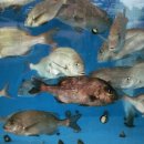 사천상회 이미지