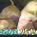 음식물 쓰레기 냉동 보관이 위험한 이유 이미지