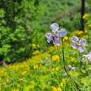 월악로농장 | 충주 수안보 온천 치유 투어 건강을 채우는 쉼여행