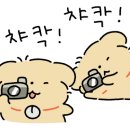 댕냥테라피 이미지