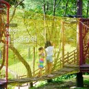 꽃구름 어린이공원 놀이시설2(아지트모험, 숲속네트놀이) | 천안 태조산공원 숲놀이터 산림레포츠단지 아이와 주말 나들이 후기
