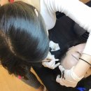 분당-395 이미지