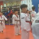 세계효 태권도장 이미지