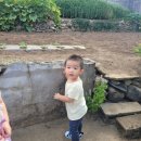 칠복농장 이미지