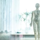 경희효전한의원 이미지