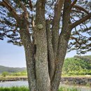 휴천면보건지소 이미지