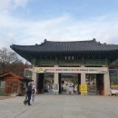 서울 봉은사 - 서울을 바라보는 거대불상(미륵대불)