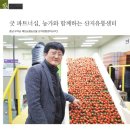 세도농협 농산물유통센터 이미지