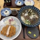 브롱이의 일산 라페스타 맛집 탐험기 : 삼백돈 냉소바 정식 먹고 버거킹 설향 초코 딸기 선데...